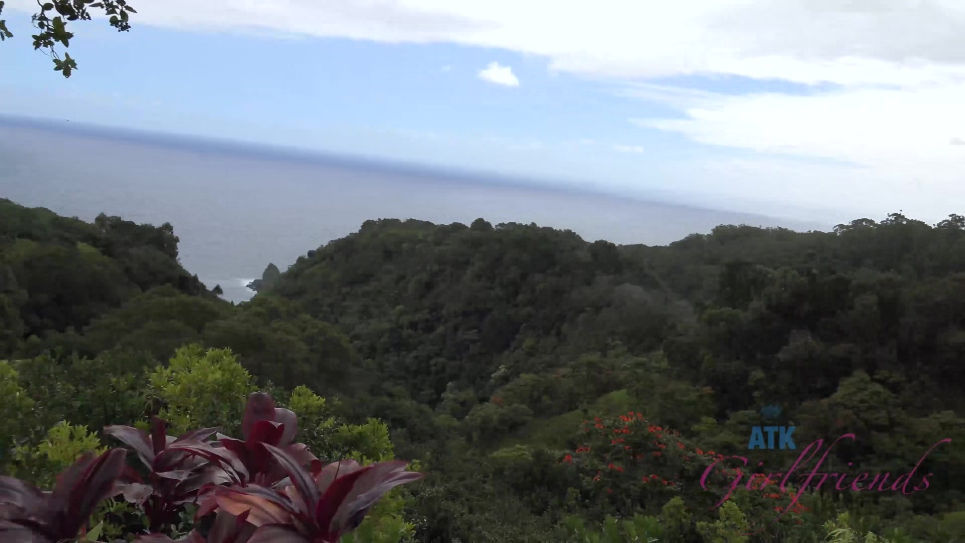 Virtual Vacation Hawaii With Kate England 1/9