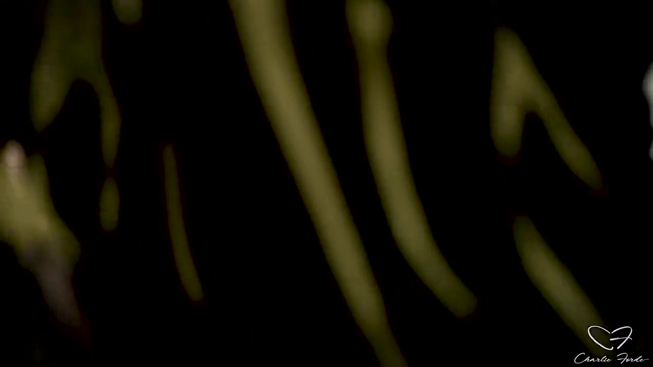 Trick Or Anal - Charlie Forde