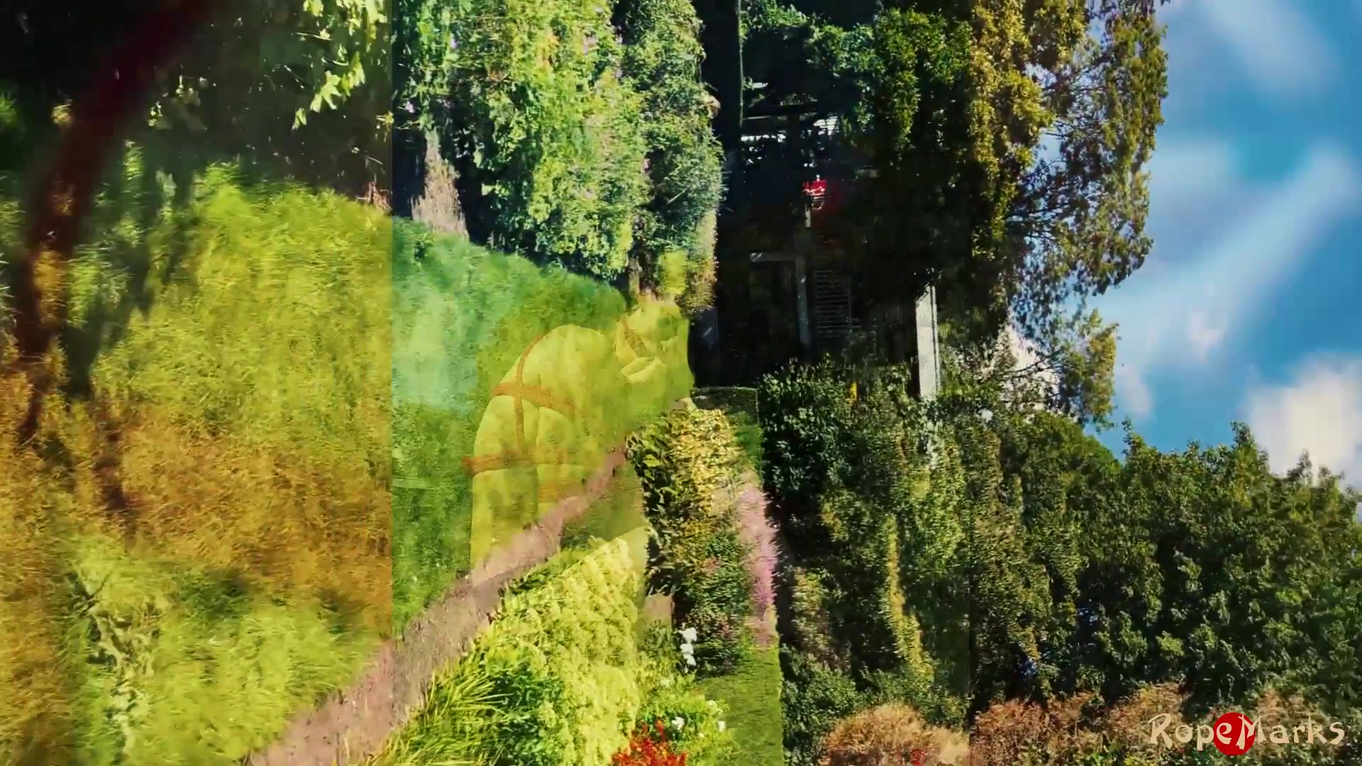 A Flawless Day In The Park - Video