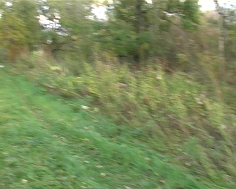 Hard core anal with naughty girl