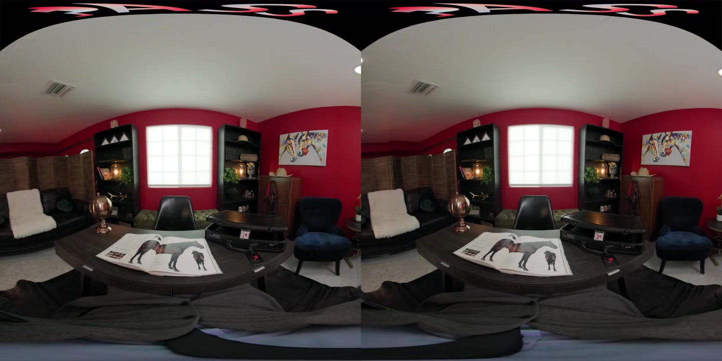 Seed Round in Sacramento - FuckPassVR