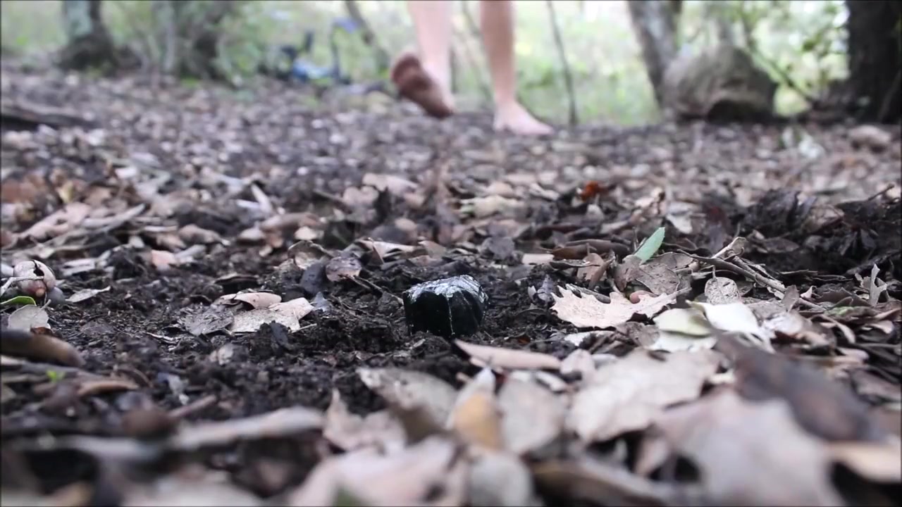 Tiny Wonderland 3 ! forest/outdoor/pov/throat/feet/butthole