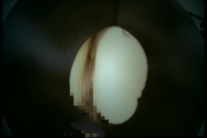 Amateur Japanese Video