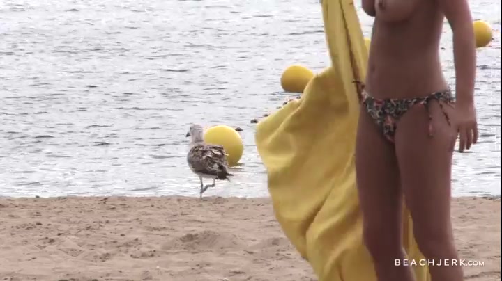 Spotted - BeachJerk