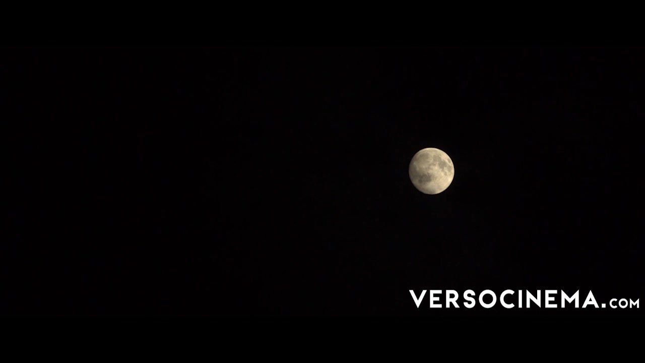 VERSO CINEMA Deeply Bitten 2