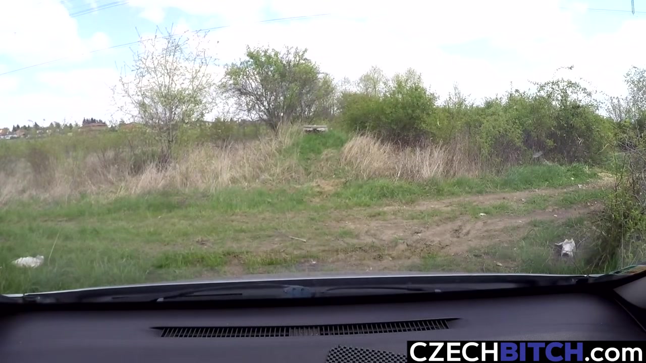 Lovely Whore Gets Fucked in Car