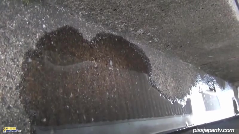 Smooth Ladies Wet The Pavement - PissJapanTV