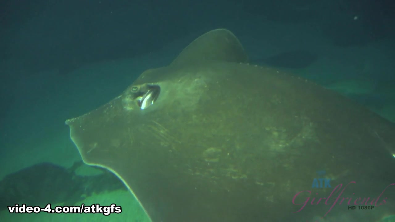 Kenzie Reeves in Kenzie Enjoys The Nude Beach, And The Aquarium - ATKGirlfriends