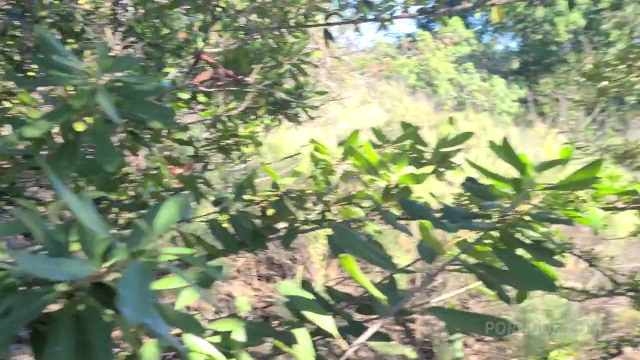 Tru Kait Outdoor Fuck - PissVids