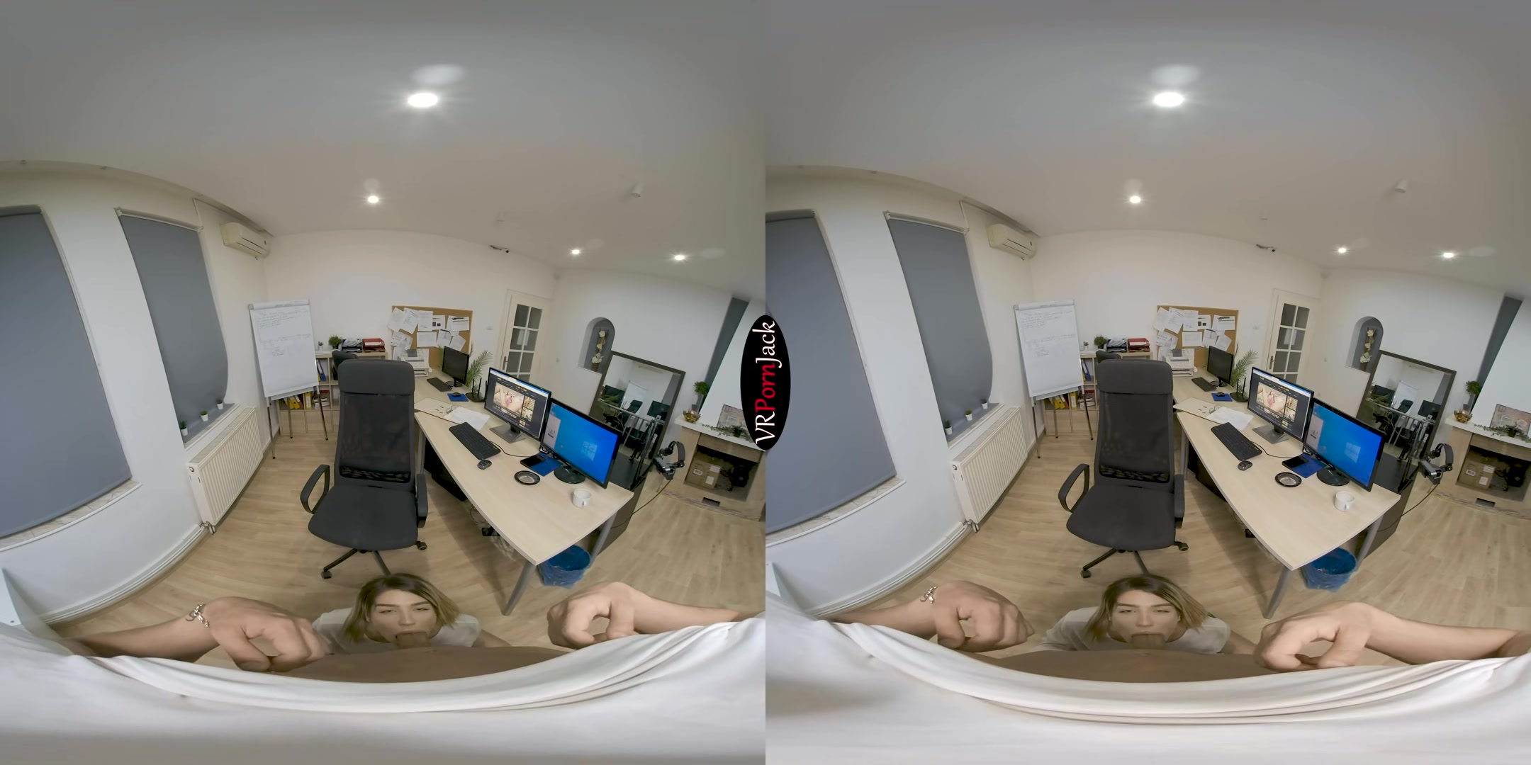 At the Office - Blackmailing My Secretary - VRpornjack