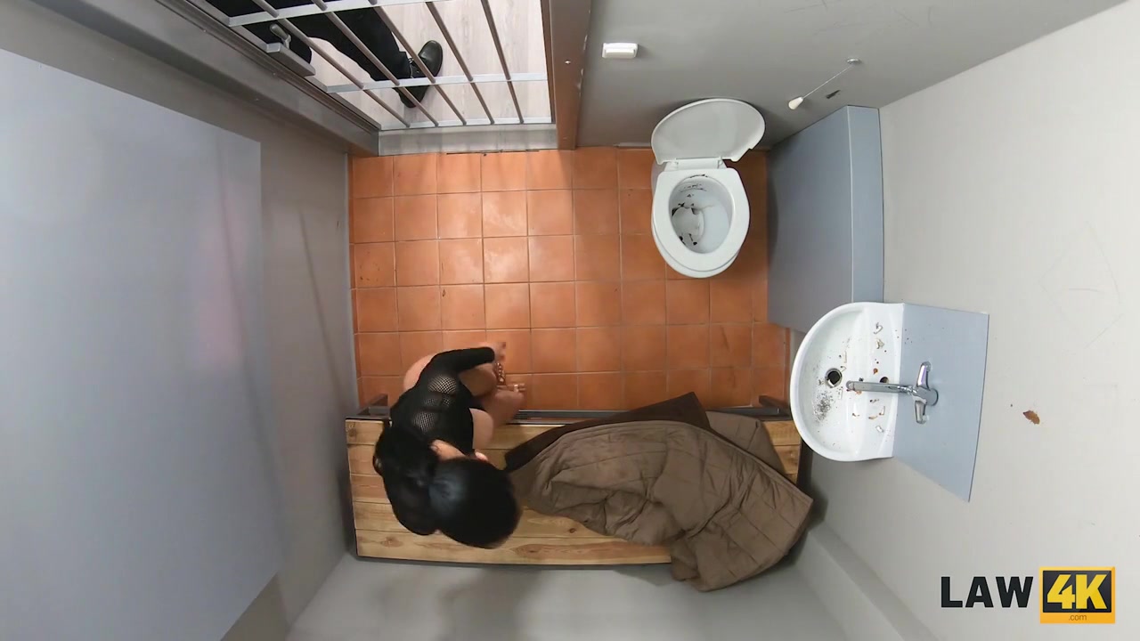 LAW4k. Hot whore is busted with a client and brought to the cage