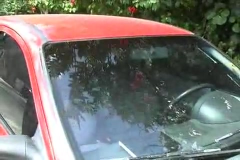 Skilful blond Latina will make you crazy