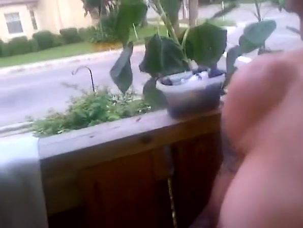 'sunshine' Bee keep stripping