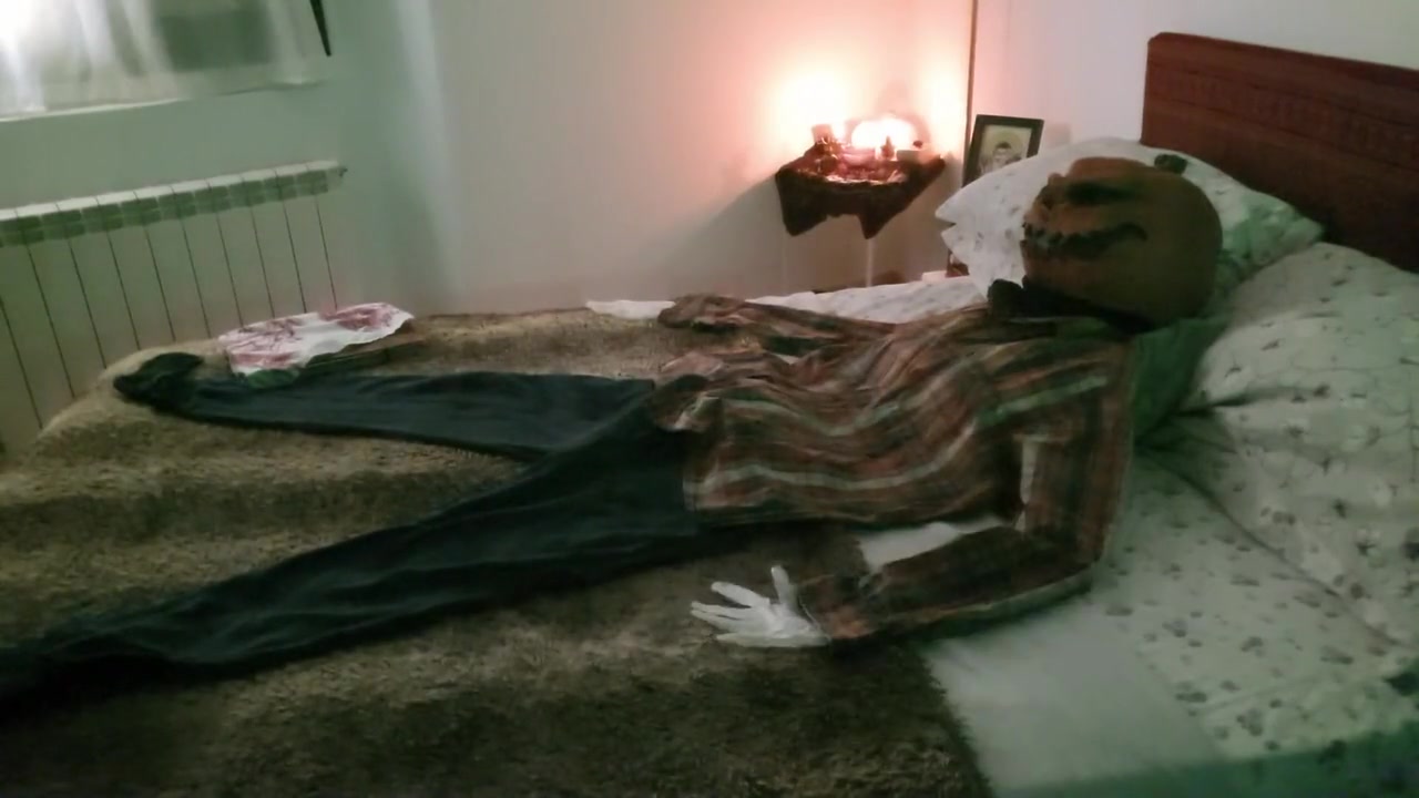 Step daddy Bear Gets Freaky With Pumpkin Puppy