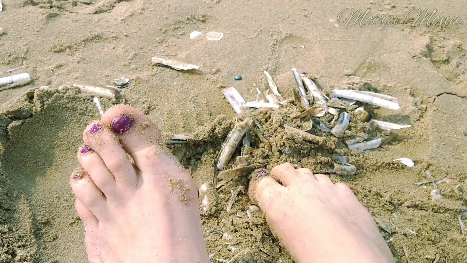 Sand And Shells Under My Feet