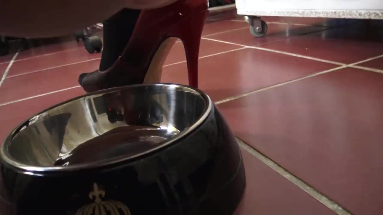 Cage slave has to drink piss after electro punishment! by Femdom Austria