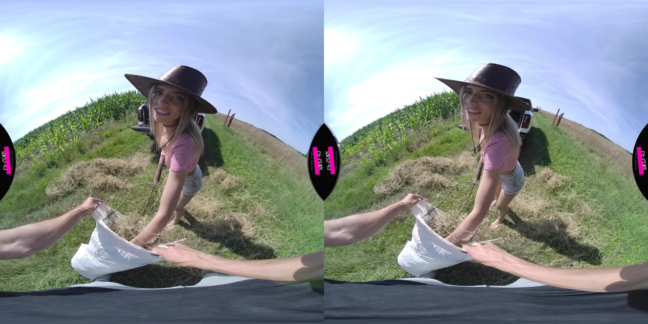 Sex in a pickup from another point of view