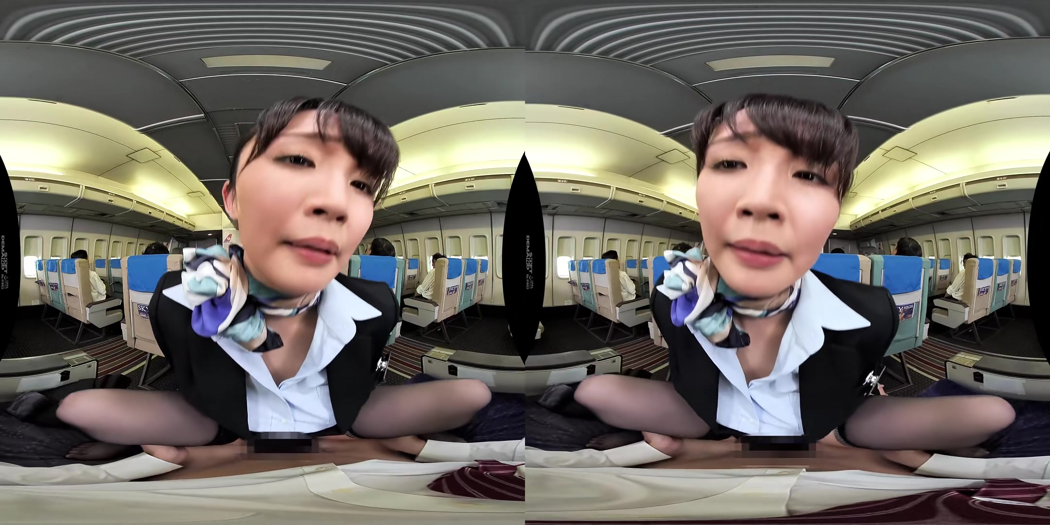 Stewardesses Provide Sexual Services in Their Uniforms 2 - SodCreate