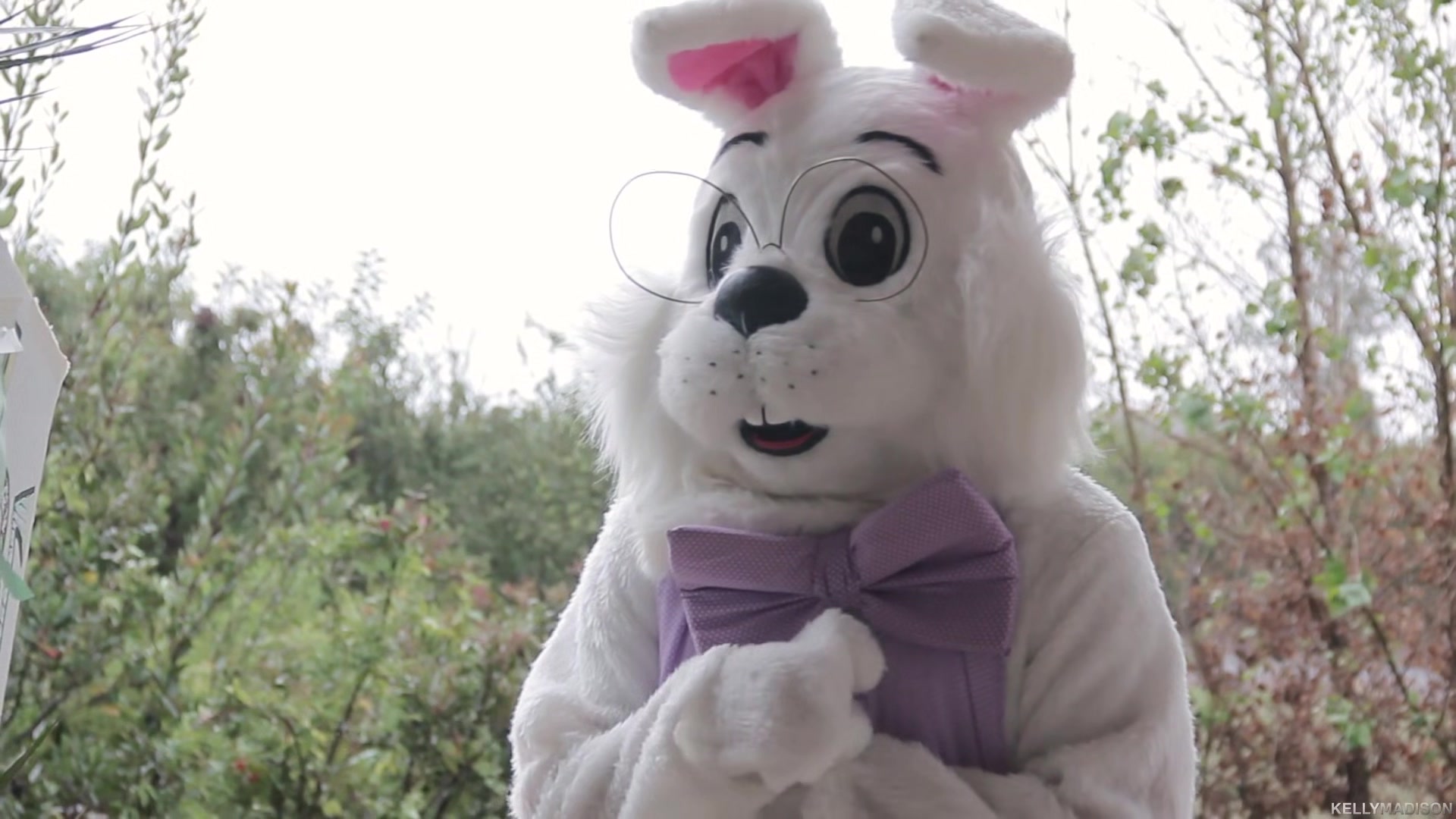 Bunny Luvs Kelly - Starring: Kelly Madison - PornFidelity