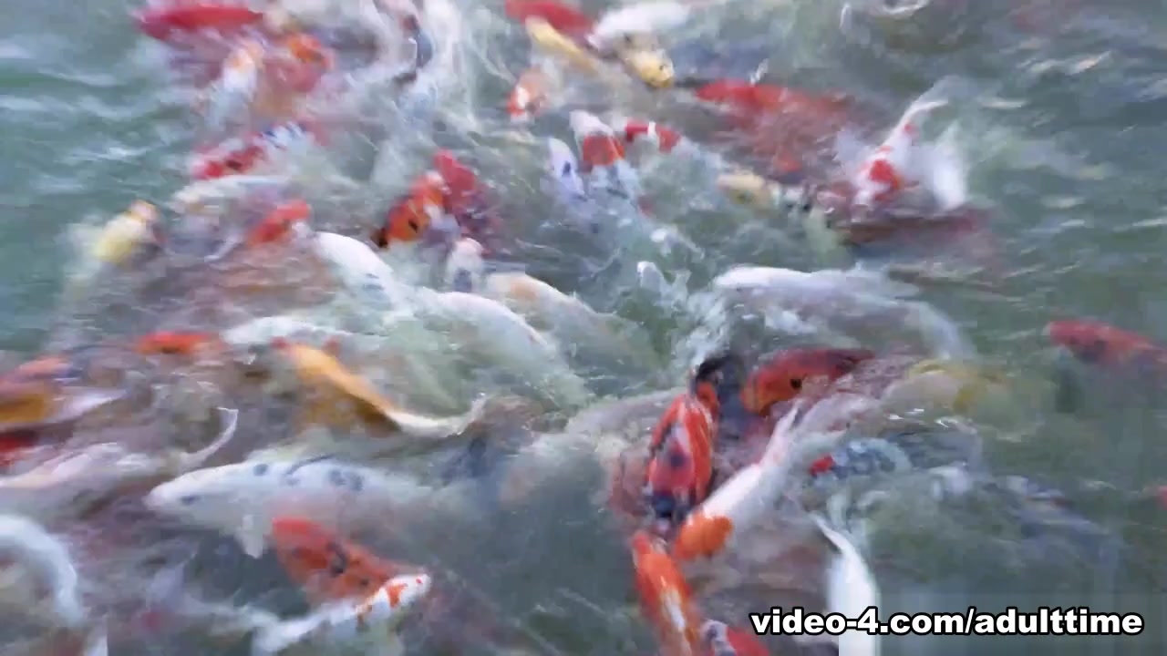 This Modern Mansion Lifestyle Feeding the Koi and Mr Turtle With Amiee Cambridge, Scene #01