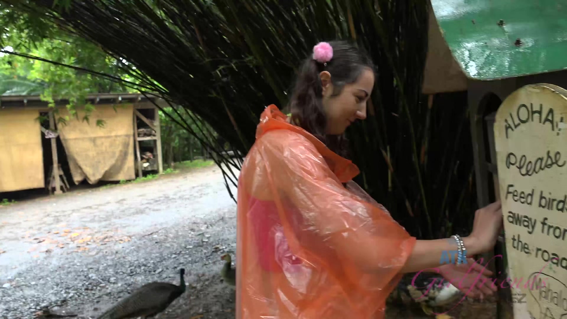 Virtual Vacation Hawaii With Lily Adams 6/11