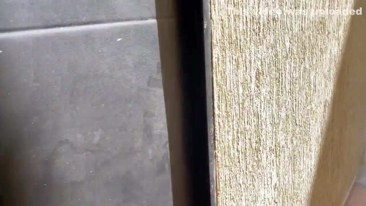 Perverted Follows Me To My House To Fuck Me