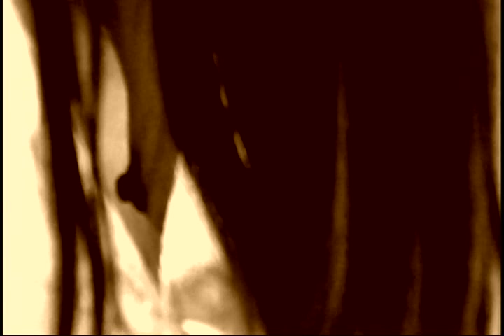 Amateur Japanese Movie