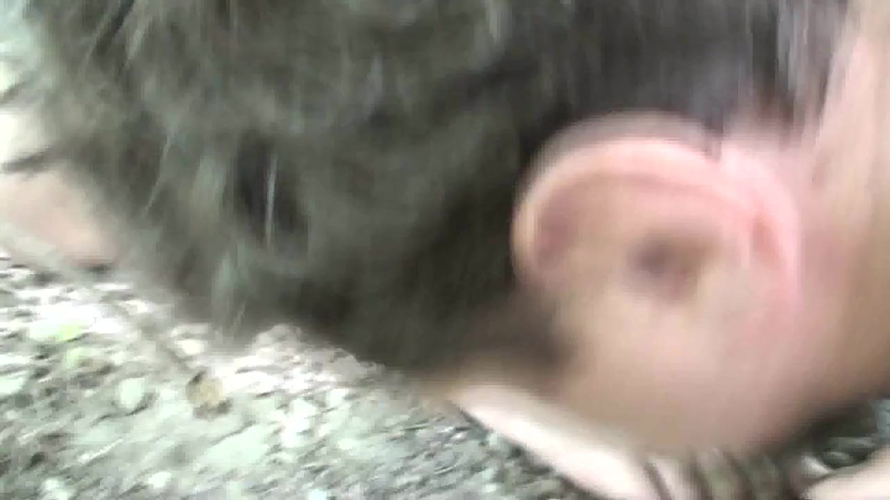 Dirty feet licking for two in the forest by Foot Girls