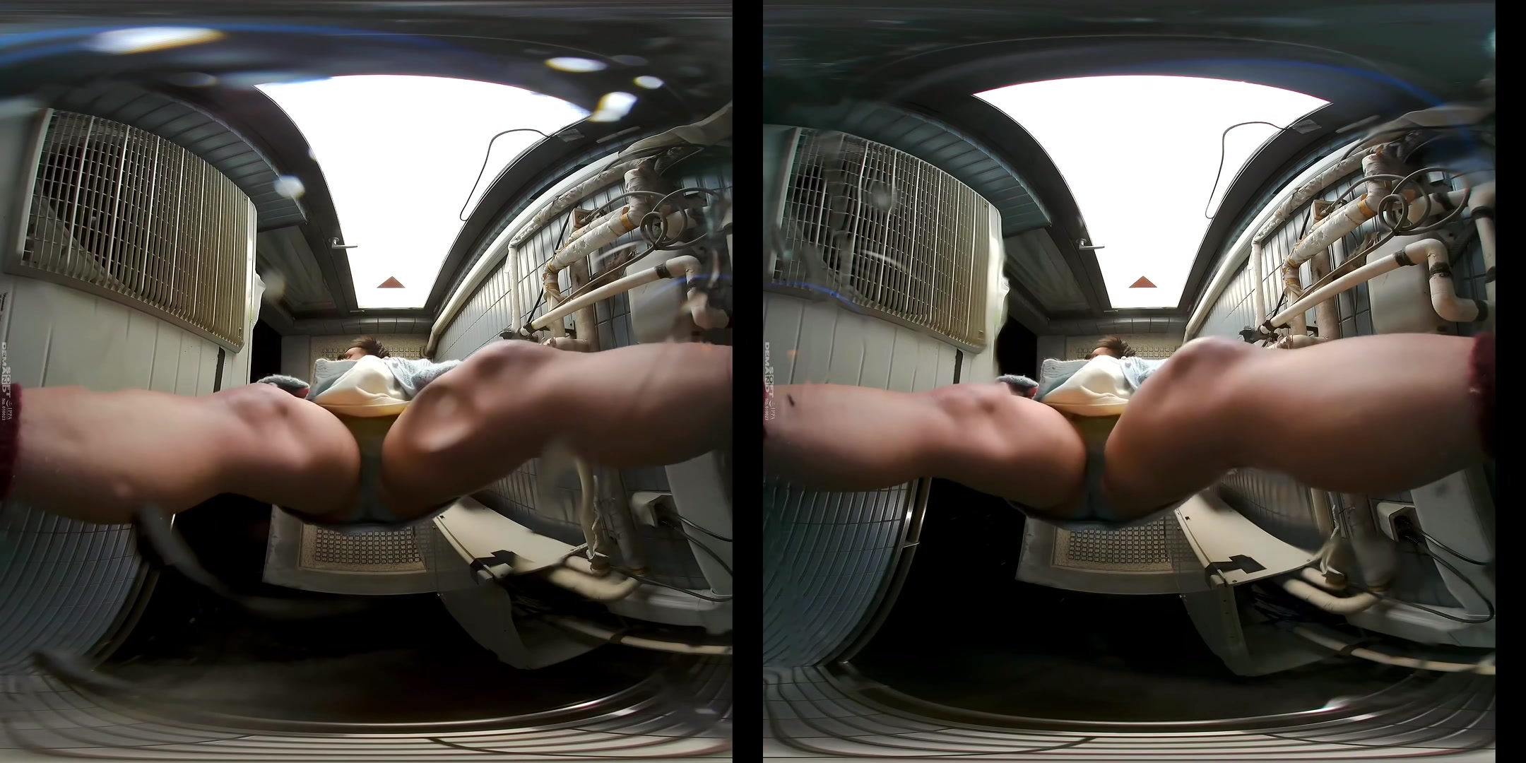Can't Hold it Any Longer: Outdoor *ssing - SodCreate