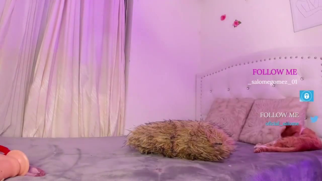 Salo Anal Dildo