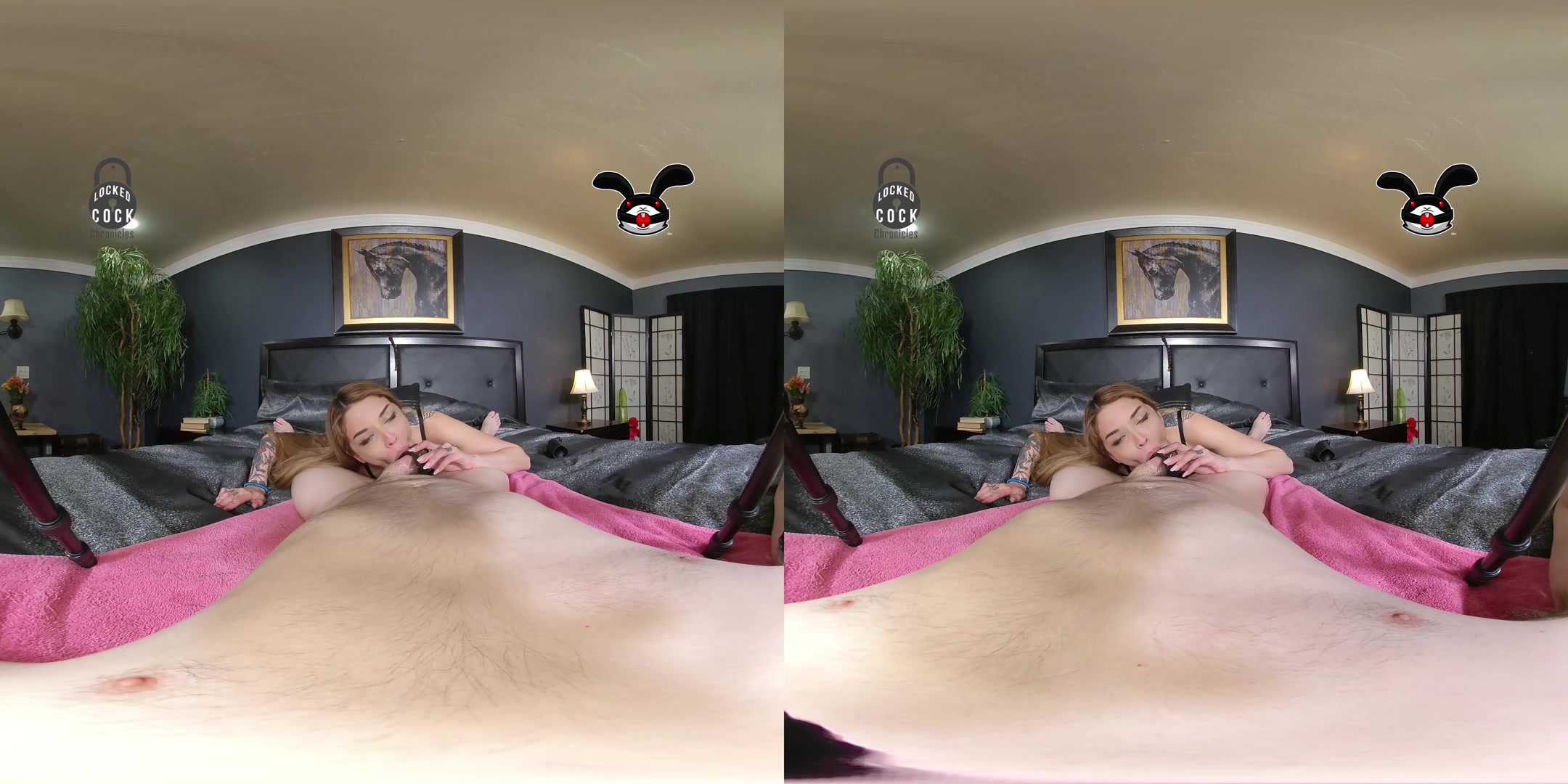 Locked Cock Chronicles - 180 - 3D - VR Edition - Volume 15 - Vanessa Vega - TheLockedCockChronicles