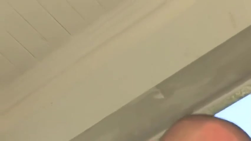 Vineyard Sex