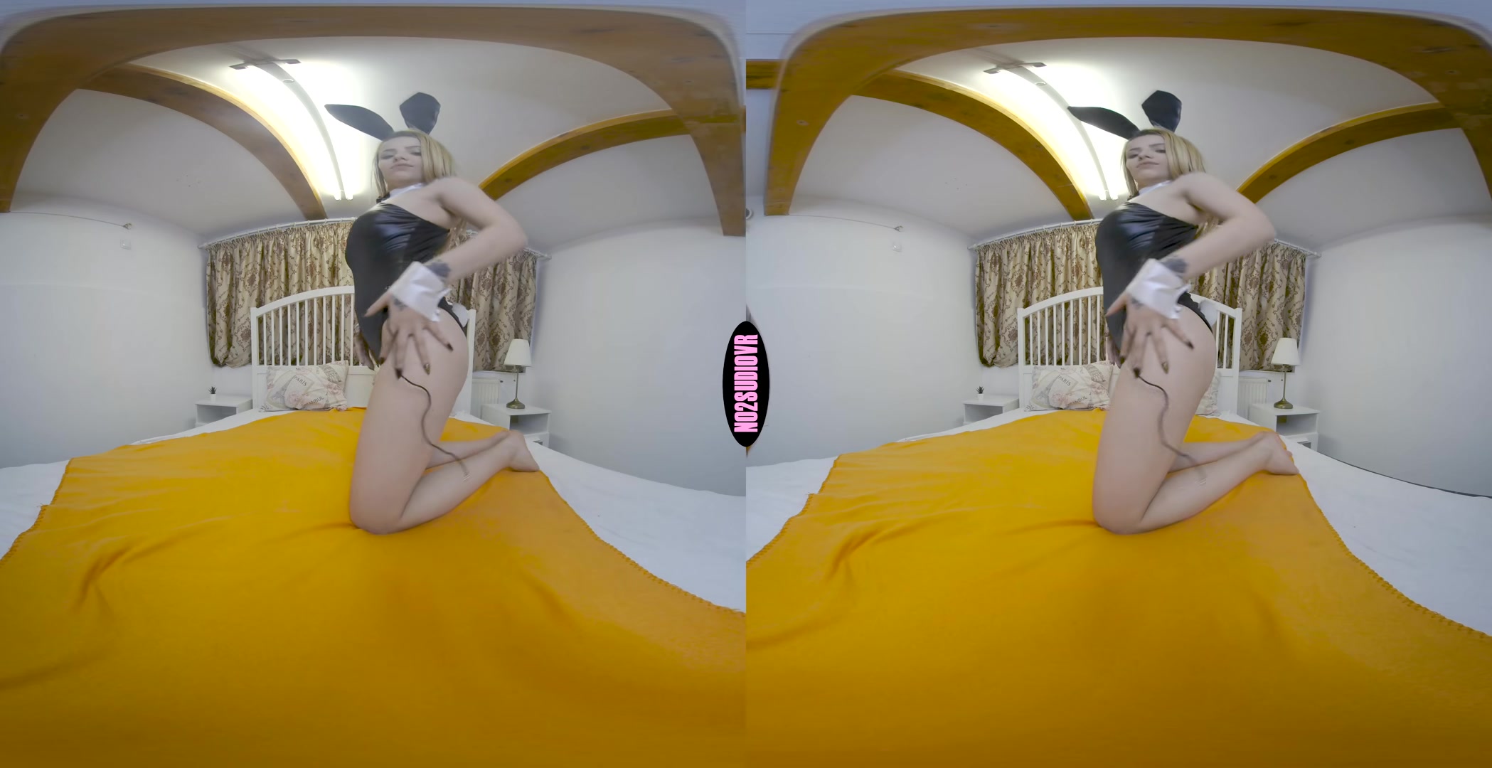 Horny Bunny - No2StudioVR