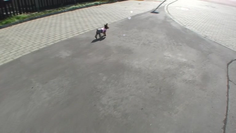 Sex tape from amateurs that fuck at each possible place