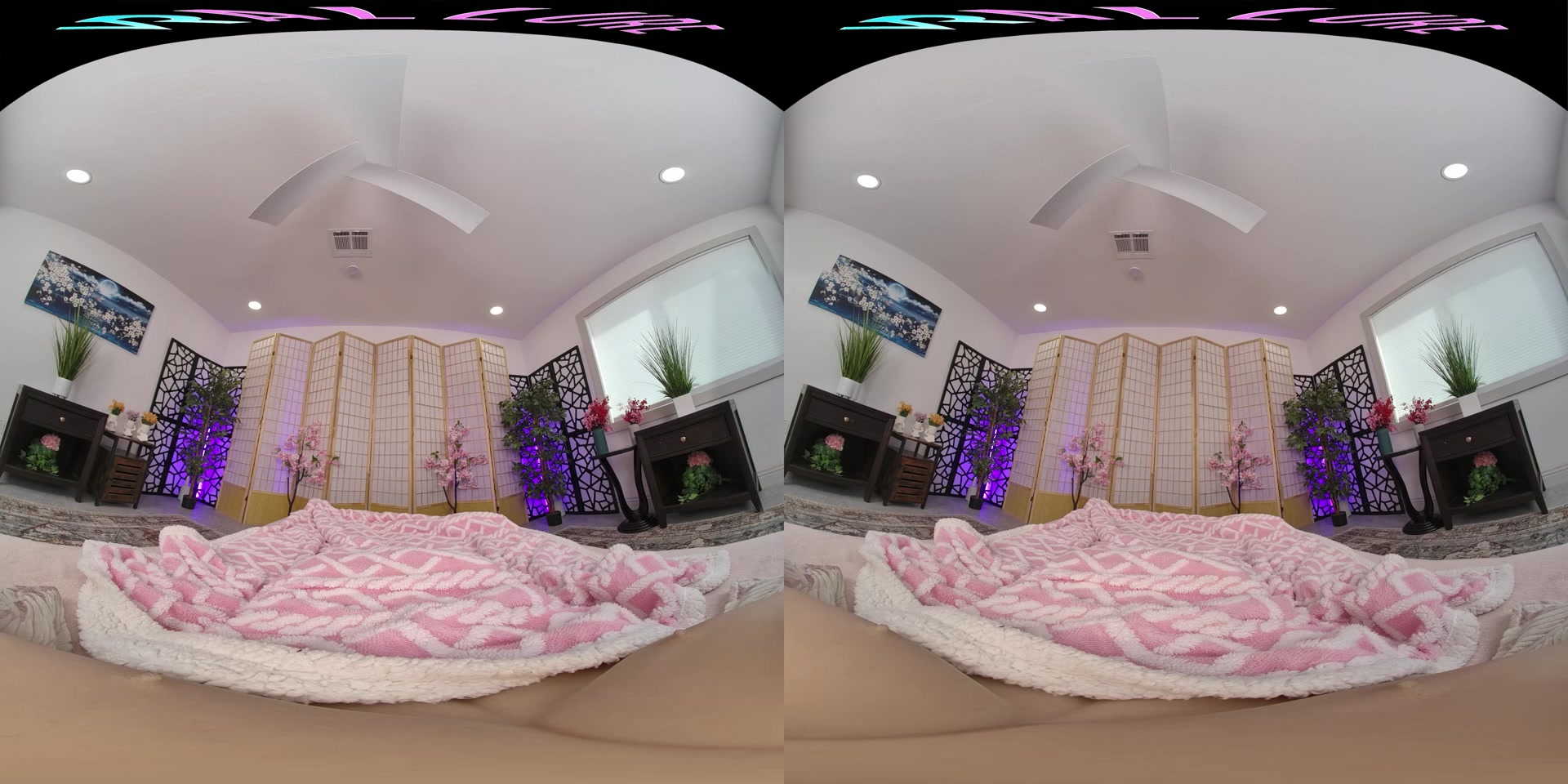 September Reign - VR Porn Video