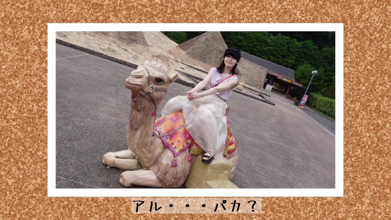 535LOG-001 Japanese Amateur