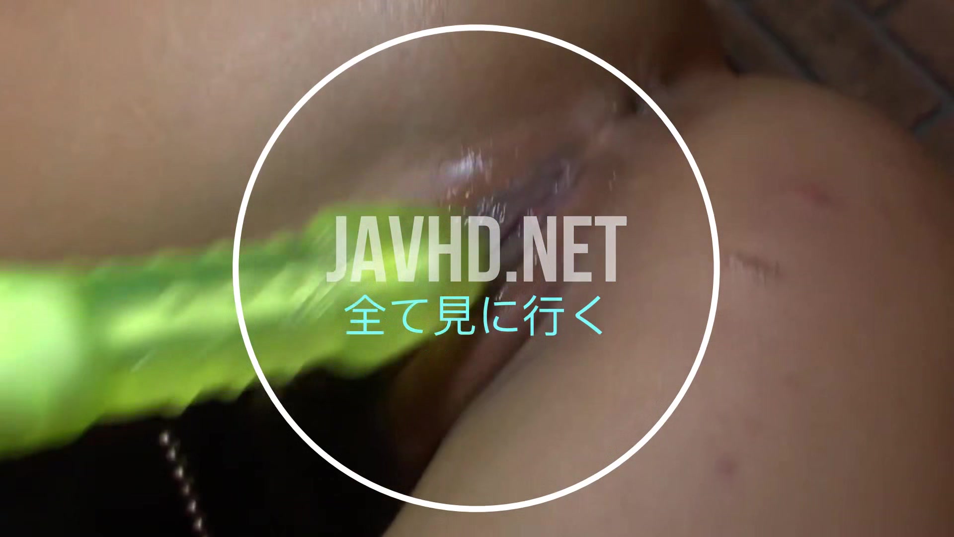 Japanese Hairy Pussy 7 on JavHD Net