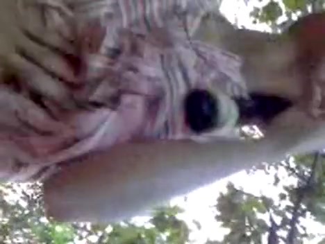 Hard Indian nipples and hairy pussy recorded in park