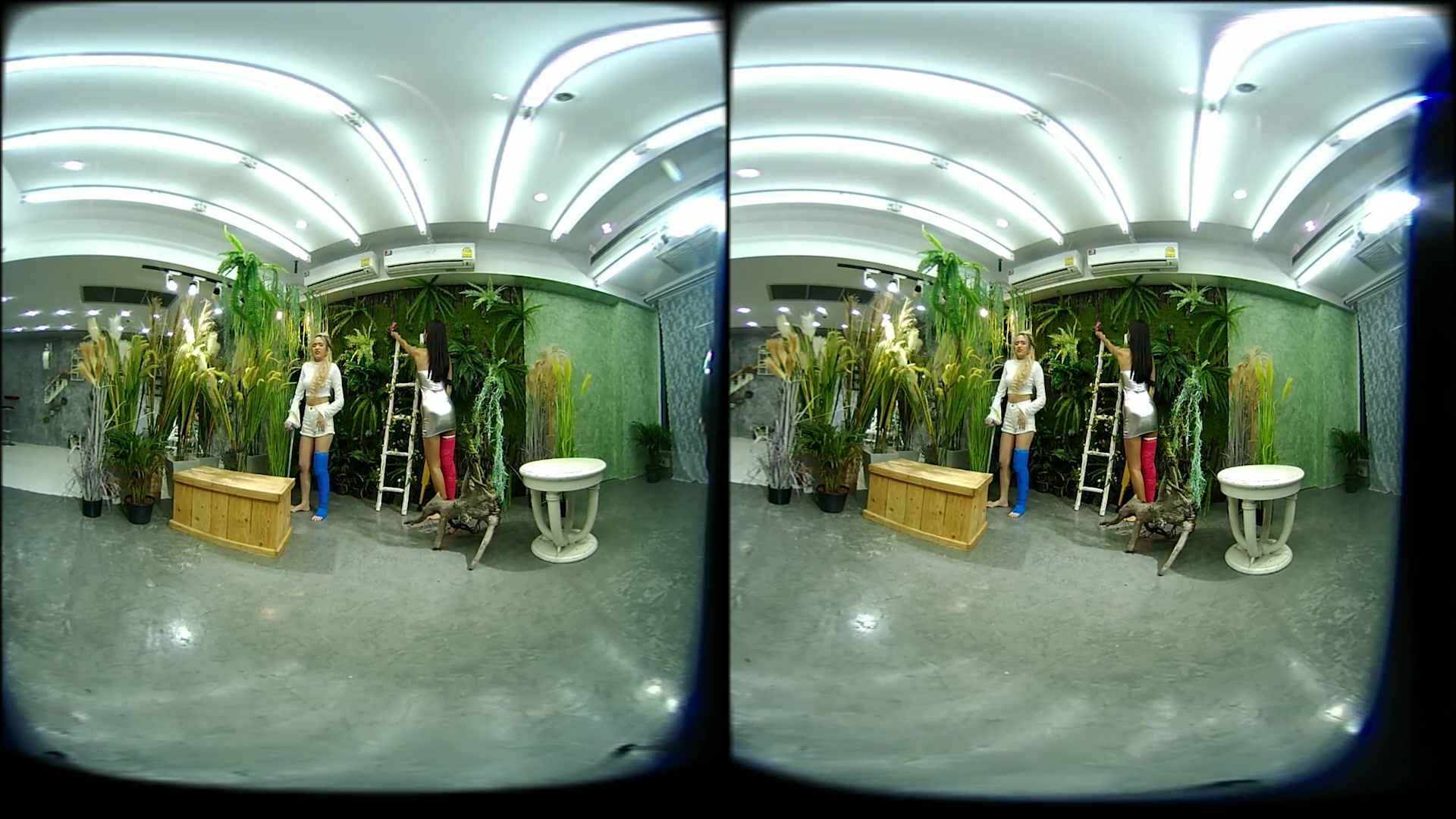 2 Girls With Long Cast Leg Visit A Flower Store 2 - VRpussyVision