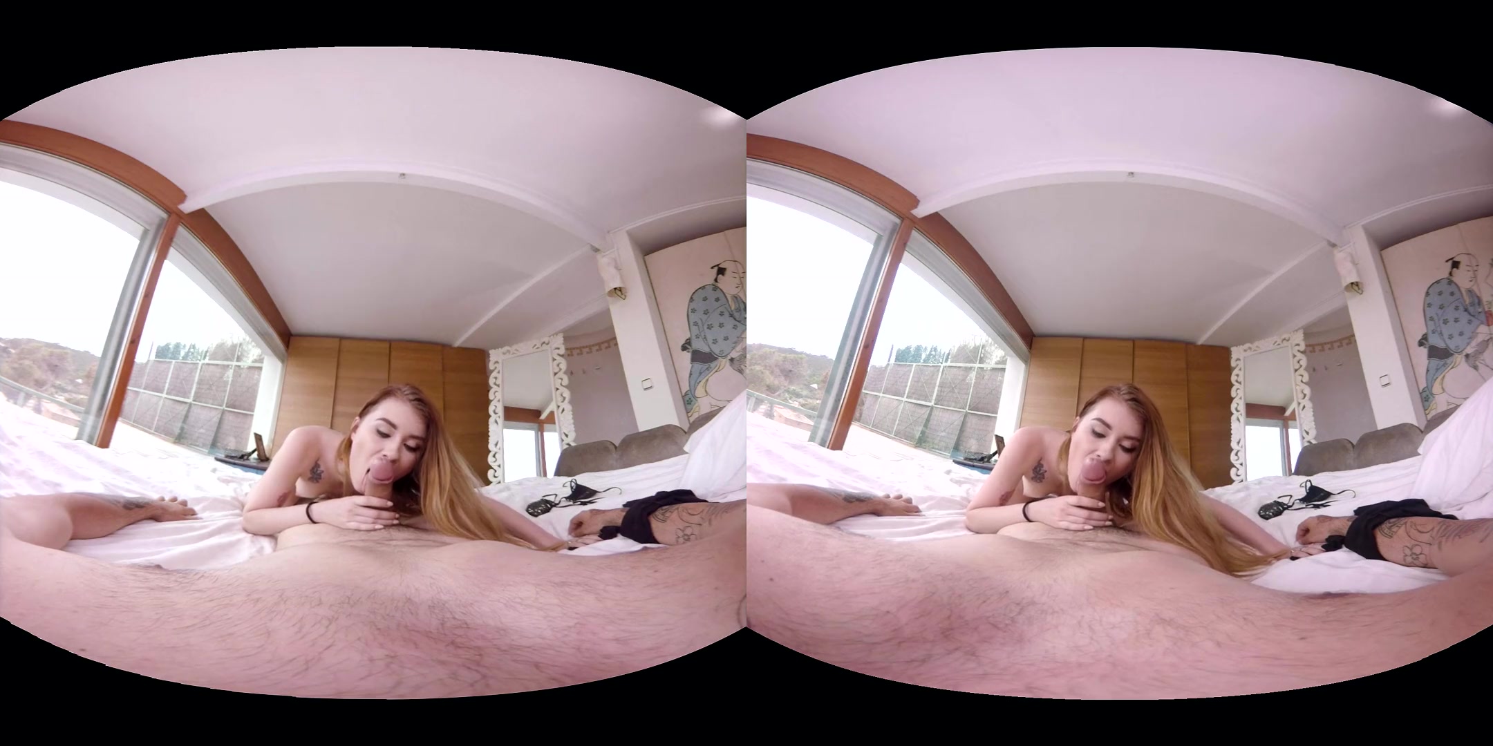 Misha Cross & Irina Pavlova in How I Met Misha Ep. 5 - VirtualRealPorn