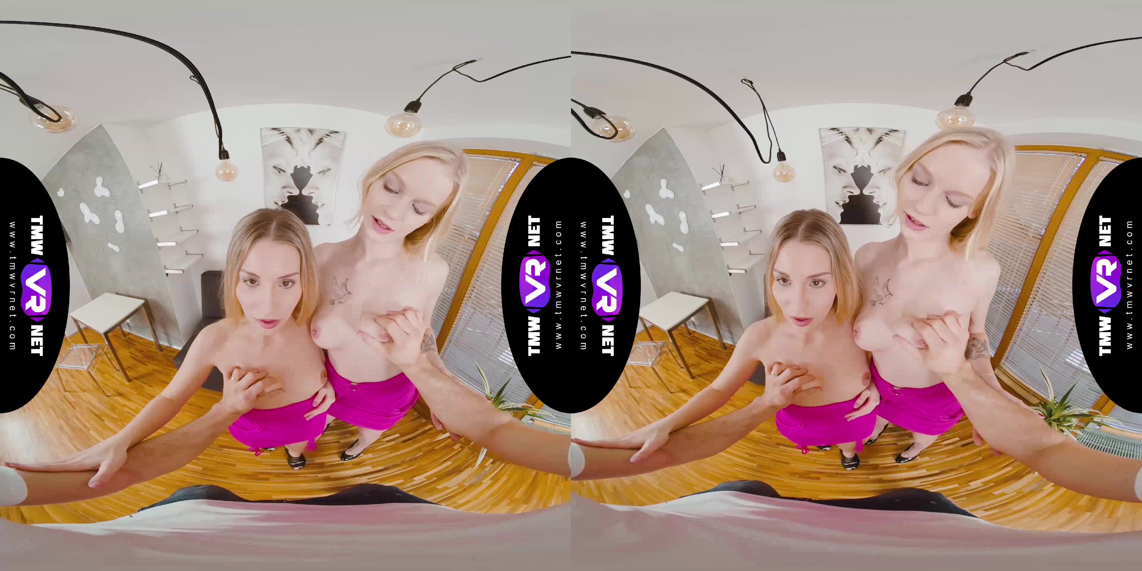 Desired orgy as a gift - TmwVRnet