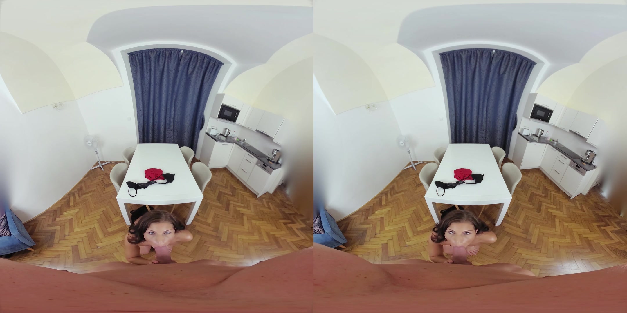 CzechVR 306 Silent Sex