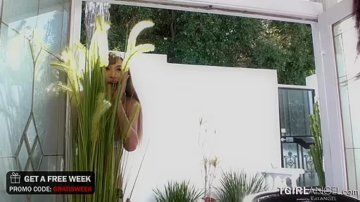 Stop right there. You'll be glad you did, because TS Khloe on TS Andylynn is HOT
