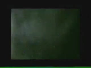 Asian bitch sucks cock with passion before fucking