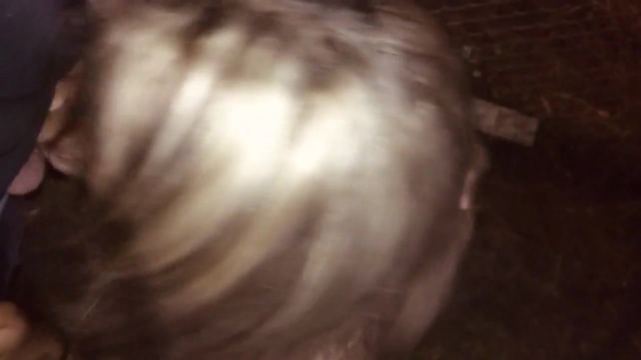 Sucks Cock In Public Makes Me With Cum Twice