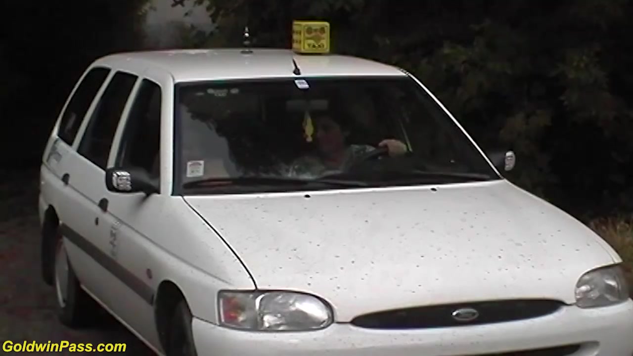 ebony milf public fucked by taxi driver