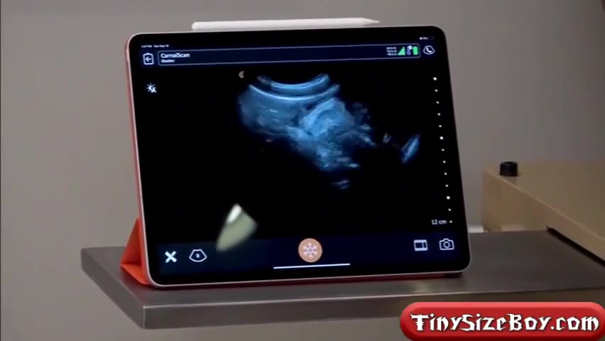 I Can See Your Dick In Me- Tinysizeboy