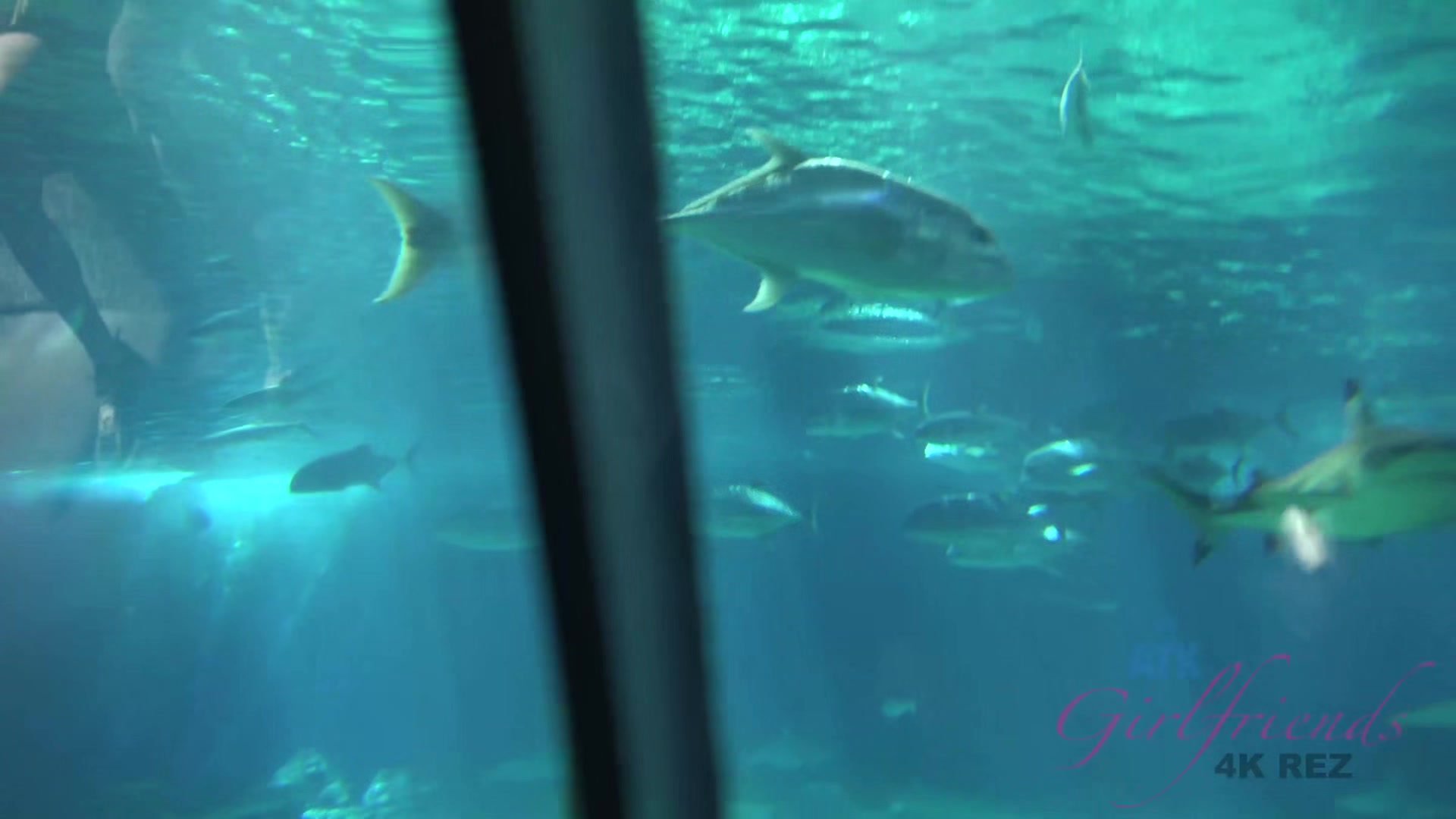 Virtual Vacation In Hawaii With Haley Reed Part 9