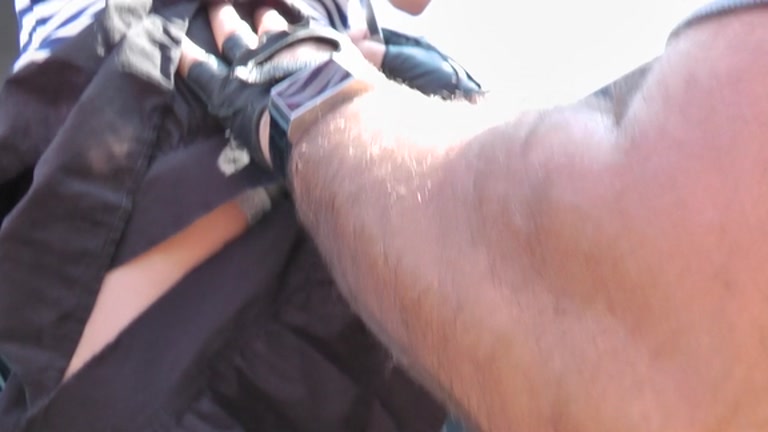 Group sex in the nature of Russian sailors