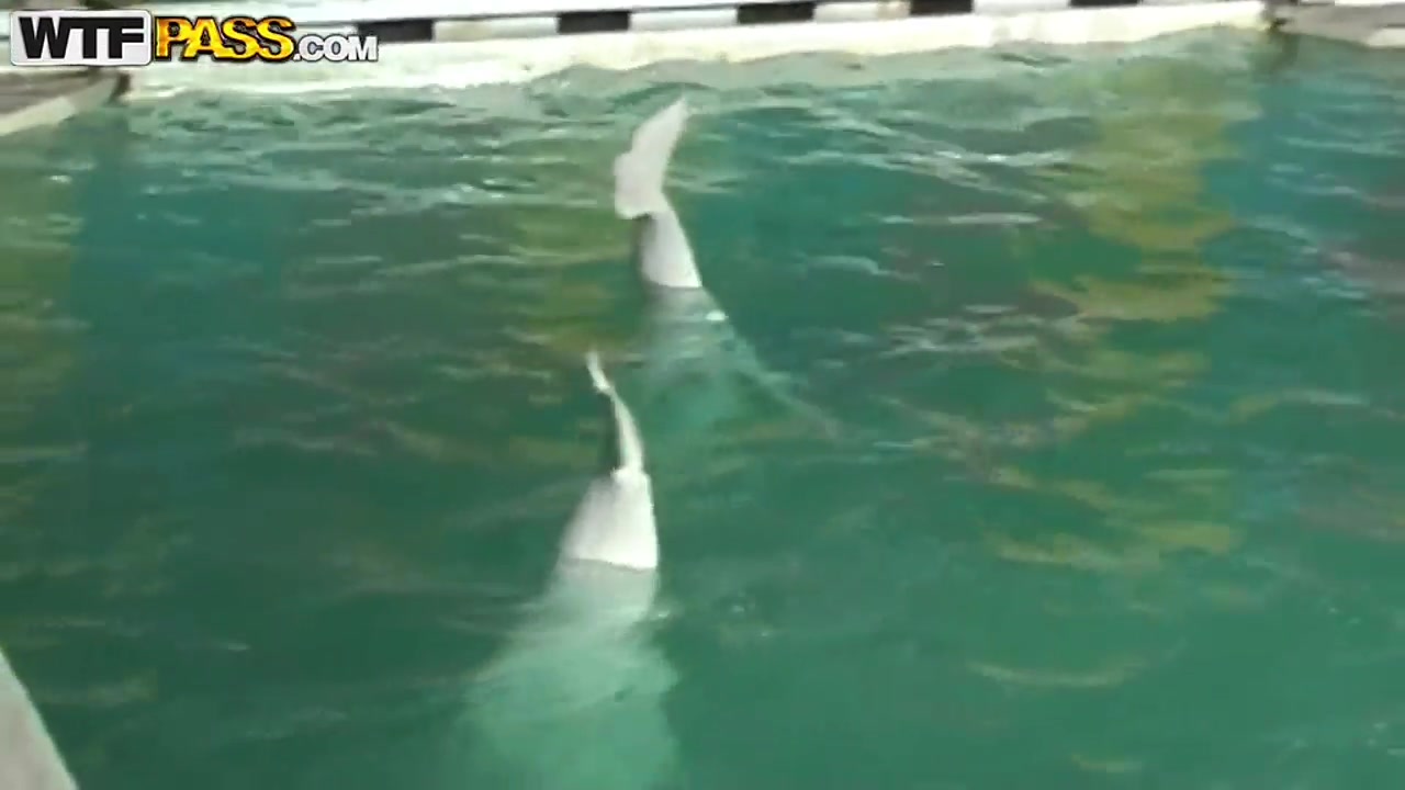 Cute and young brunette babe Natasha is getting seduced by her workmate at dolphinarium for naughty fuck.
